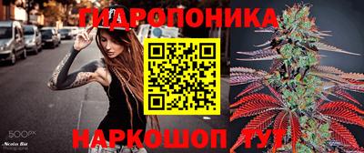 прущие крисы Лесосибирск